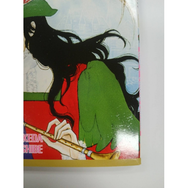 เจ้าสาวซาตาน THE BRIDE OF THE DEMON 12 **รบกวนเลื่อนดูสภาพหนังสือก่อนการสั่งซื้อ**